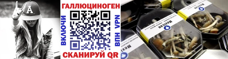 Галлюциногенные грибы Psilocybe  Удачный 